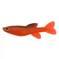 Poisson ILBA Rouge: leurre pour la pêche