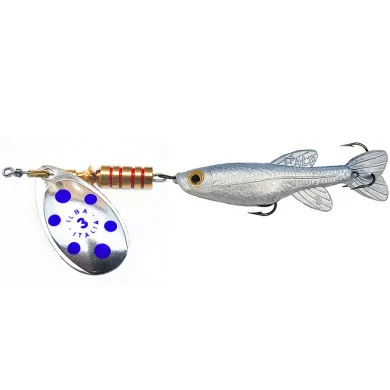 Cuiller Tondo décoré avec Poisson ILBA. Leurre pour la pêche