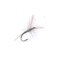 Mosca Dry GREY QUILL