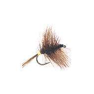 Fly Dry PALMER (12-14-16)