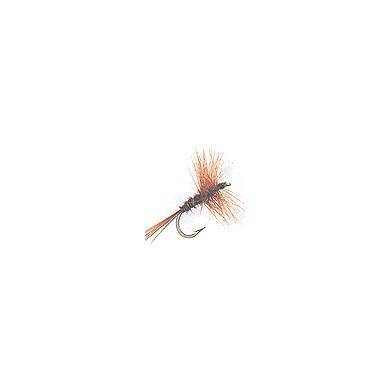 Fly Dry PHEASANT TAIL (12-14-16-18)