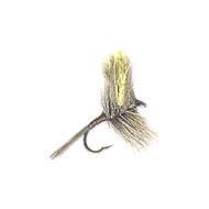 Mosca Dry QUILL GORDON