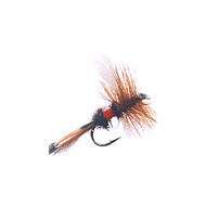 Mosca Dry ROYAL COACHMAN