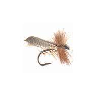 Mosca Dry SILVER BROWN