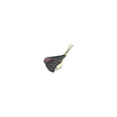 Fly Dry STOCKING BLACK DEER HAIR SEDGE (12-14)