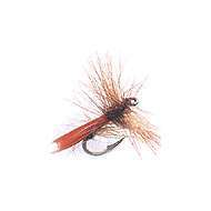 Mosca Dry STONE FLY