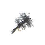 Fly Dry Barbless BLACK ANT WINGED (12-14)
