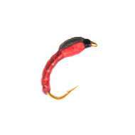 Mosca Buzzer Thorax RED GOLD