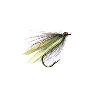 Fly CDC Stone OLIVE (14-16)