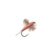 Fly CDC Spent ORANGE (12-14-18-20)