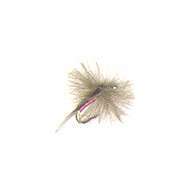 Fly CDC Spent PINK (18-20)