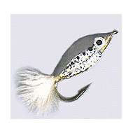 Fly Epoxy Minnow ROACH (4-6)