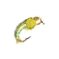 Fly Gold Head Nymph CADDIS LT OLIVE (10-12-14)