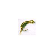 Fly GOLD HEAD OLIVE LARVA LACE SHRIMP Hook 10