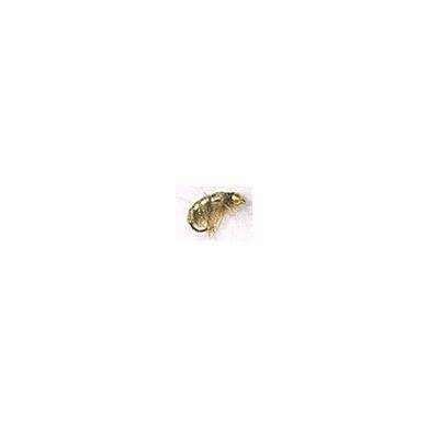 Fly GOLD HEAD TAN SHRIMP STANDARD Hook 10
