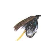 Fly Wet CONEMARA BLACK (12-14)