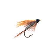 Fly Wet DARK CAHILL (14-16)