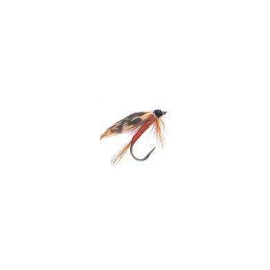 Mosca Wet FEBRUARY RED