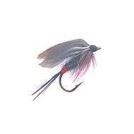 Fly Wet IRON BLUE DUN (10-12-14)