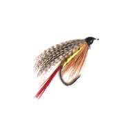 Fly Wet PROFESSOR (10-14)