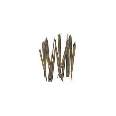 TURKEY STONE FLY WINGS