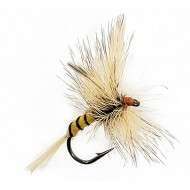 Fly Dry AUGUST DUN (12-14-16)