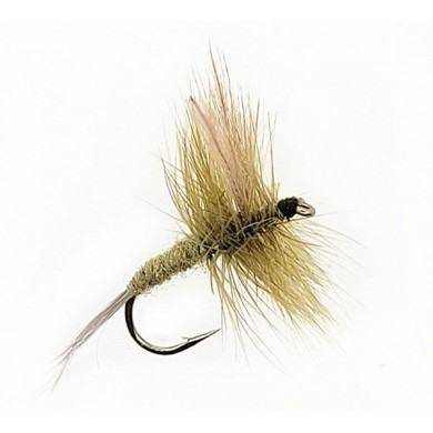 Fly Dry B.W.O (12-16-18)