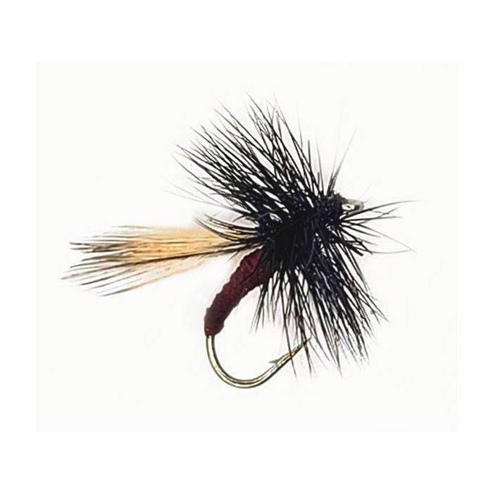 Mosca Dry BIBIO MARCI