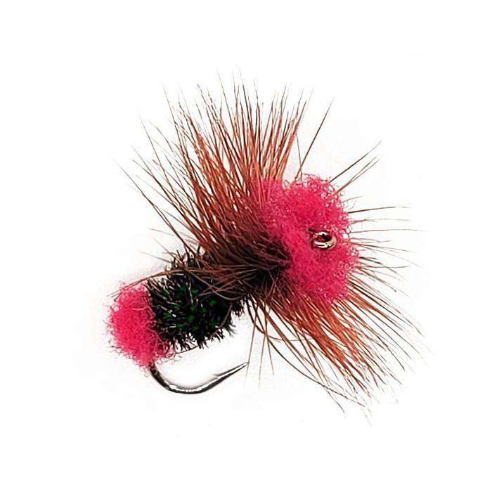 Fly Dry BRADSHAW'S FANCY (12-14-18)