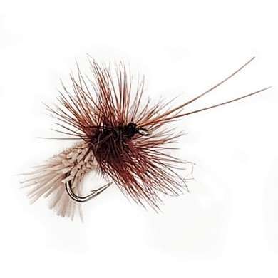Fly Dry CADDIS GODDARD (16-18)