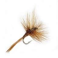 Mouche Dry BROWN SPINNER Amo 16