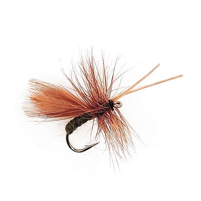 Mouche Dry CINNAMON GREEN Hameçon 12
