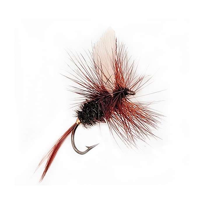 Mouche Dry COACHMAN (10-12-16)
