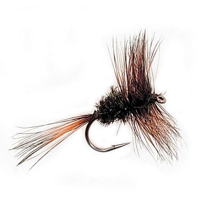 Fly Dry COCH-Y-BONDU (12-14-16-18)