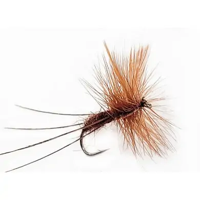 Fly Dry DADDY LONG (12-16)