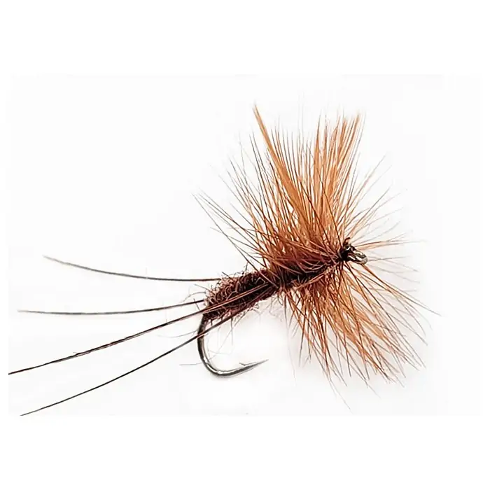 Fly Dry DADDY LONG (12-16)
