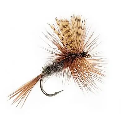 Fly Dry DARK CAHILL (12-18)