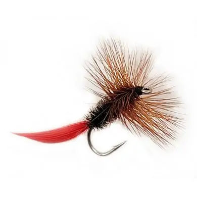 Fly Dry DYSON (12-14)