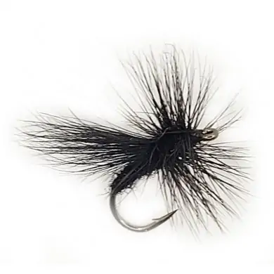 Mouche Dry FLUTTERING CADDIS BLACK (12-14)