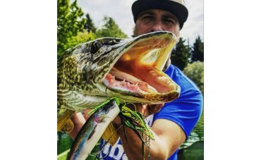 L’efficacia dei rotanti ILBA sul luccio (Giancarlo Cattaneo)